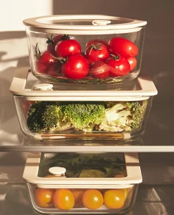Airtight Container 31.92 Oz