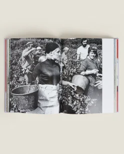 Assouline ‘Provence Glory' Book