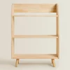 Bear Bookcase