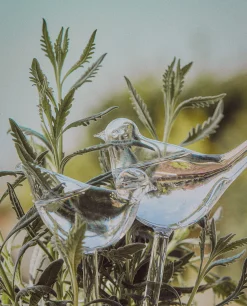Borosilicate Glass Self-Watering Bubble