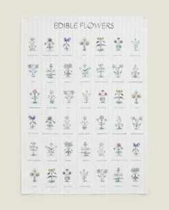 Check And Floral Print Cotton Tea Towel (Pack Of 2)