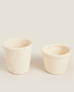 Clay Flowerpot
