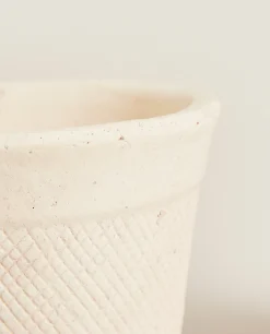 Clay Flowerpot