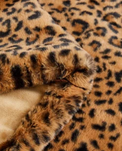 Print Blanket