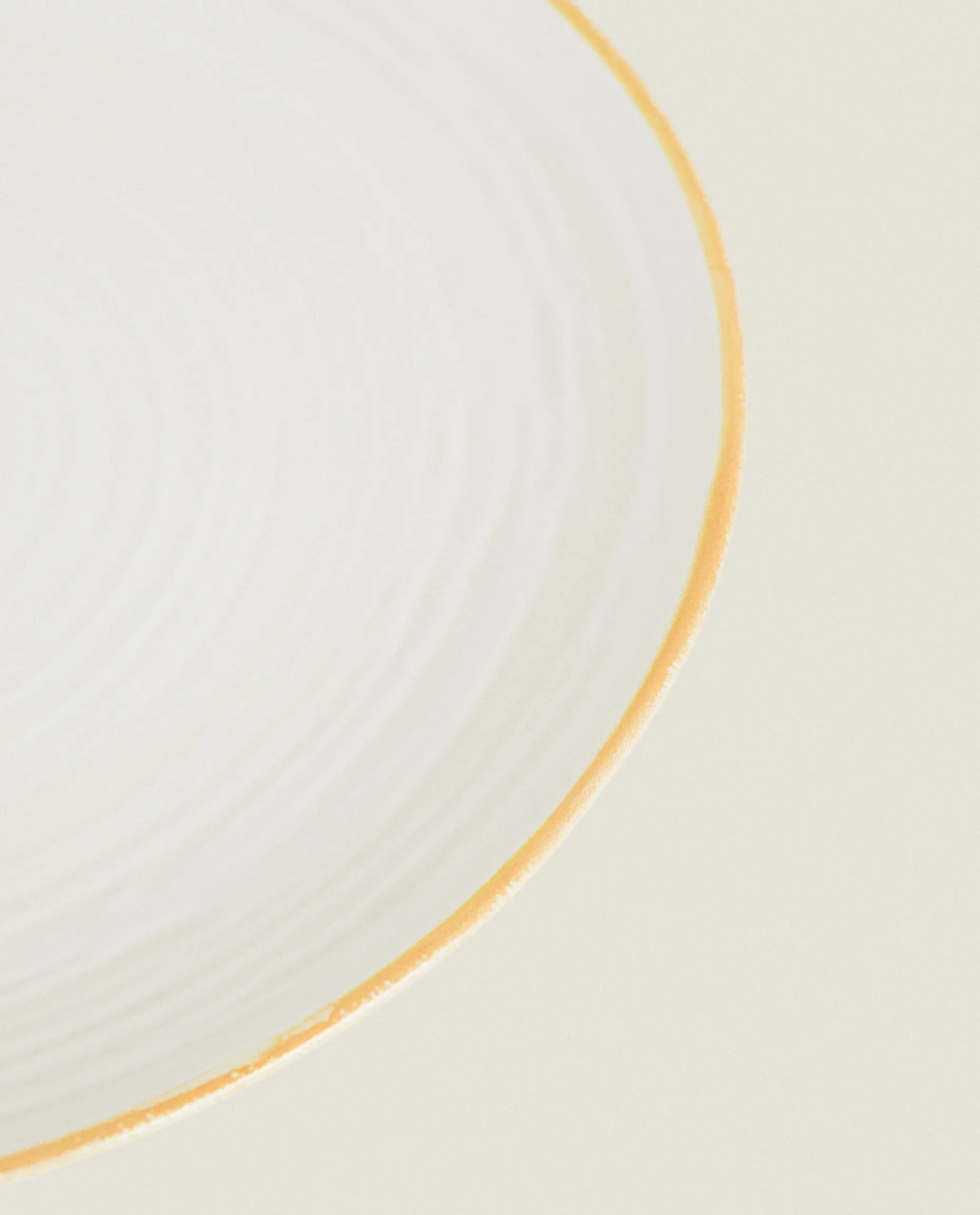 Rim Detail Dinner Plate