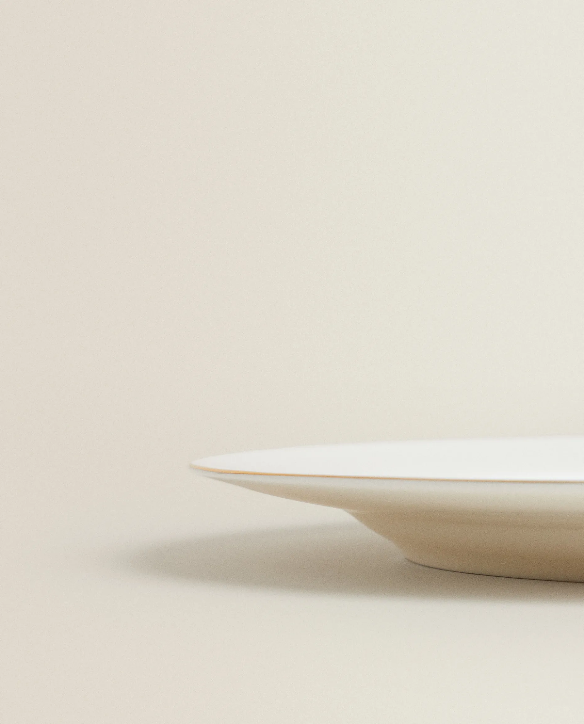 Rimmed Bone China Dinner Plate