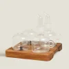 Salt And Cruet With Tray Set