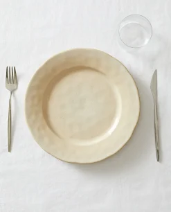 Speckled Stoneware Dinner Plate