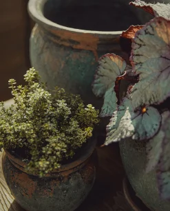 Terracotta Flowerpot | Small