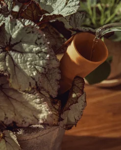 Terracotta Watering Accessory